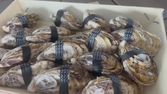 Как мы ели устрицы из Индийского океана. смотреть онлайн