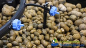 PCT0108 Капельница компенсированная разборная, 1/4", Синяя 8л/ч - 0,8-3,2 bar