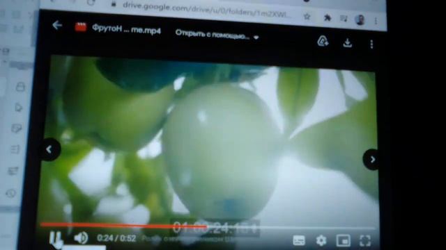 Фрутоняня - демозапись