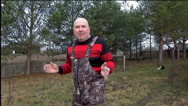 Забор из сосны за копейки-профессиональный способ.