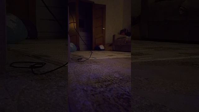 мы с Лерой играем в Страшилу