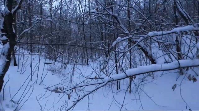 Охота в зимний период. Попытка №5 смотреть онлайн