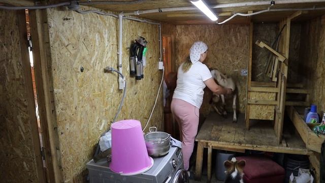 ПРОВЕРЯЮ ПОДРУГУ МОЛОКОМ - ВЫДЕРЖИТ ЛИ ДРУЖБА ??? смотреть онлайн