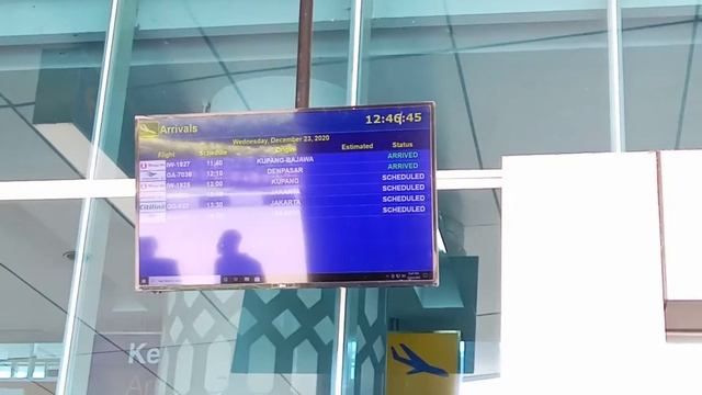 BANDAR UDARA KOMODO LABUAN BAJO смотреть онлайн