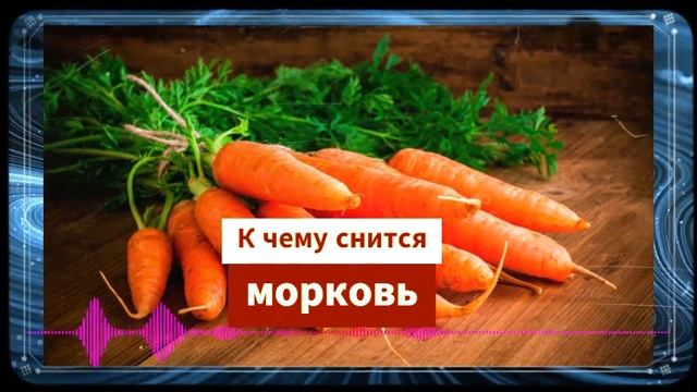 морковь во сне - К чему снится морковь смотреть онлайн