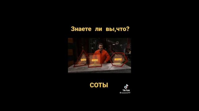 ПОЧЕМУ СОТЫ ШЕСТИУГОЛЬНЫЕ смотреть онлайн