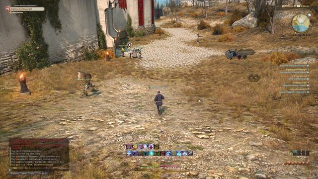 Final Fantasy XIV - Впервые, проходим сюжет #4