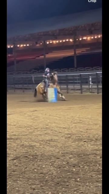 Miss dolly’s second jackpot #headhorse #barrelracing #barrelhorse смотреть онлайн