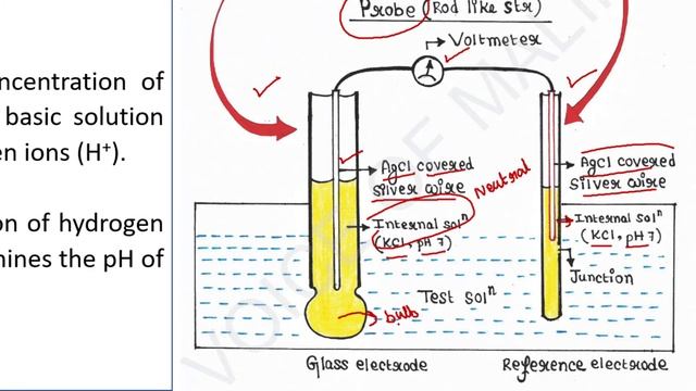 pH meter | Principle | Study smart in minutes смотреть онлайн