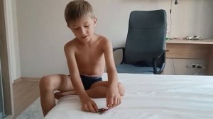 богомол против скорпиона