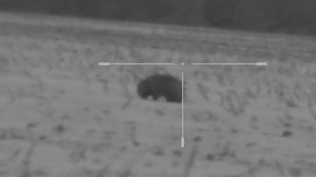 Юкон фотон 6*50rt , енот смотреть онлайн