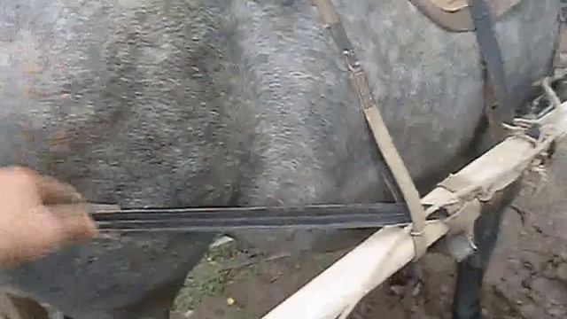 Тележка для лошади смотреть онлайн