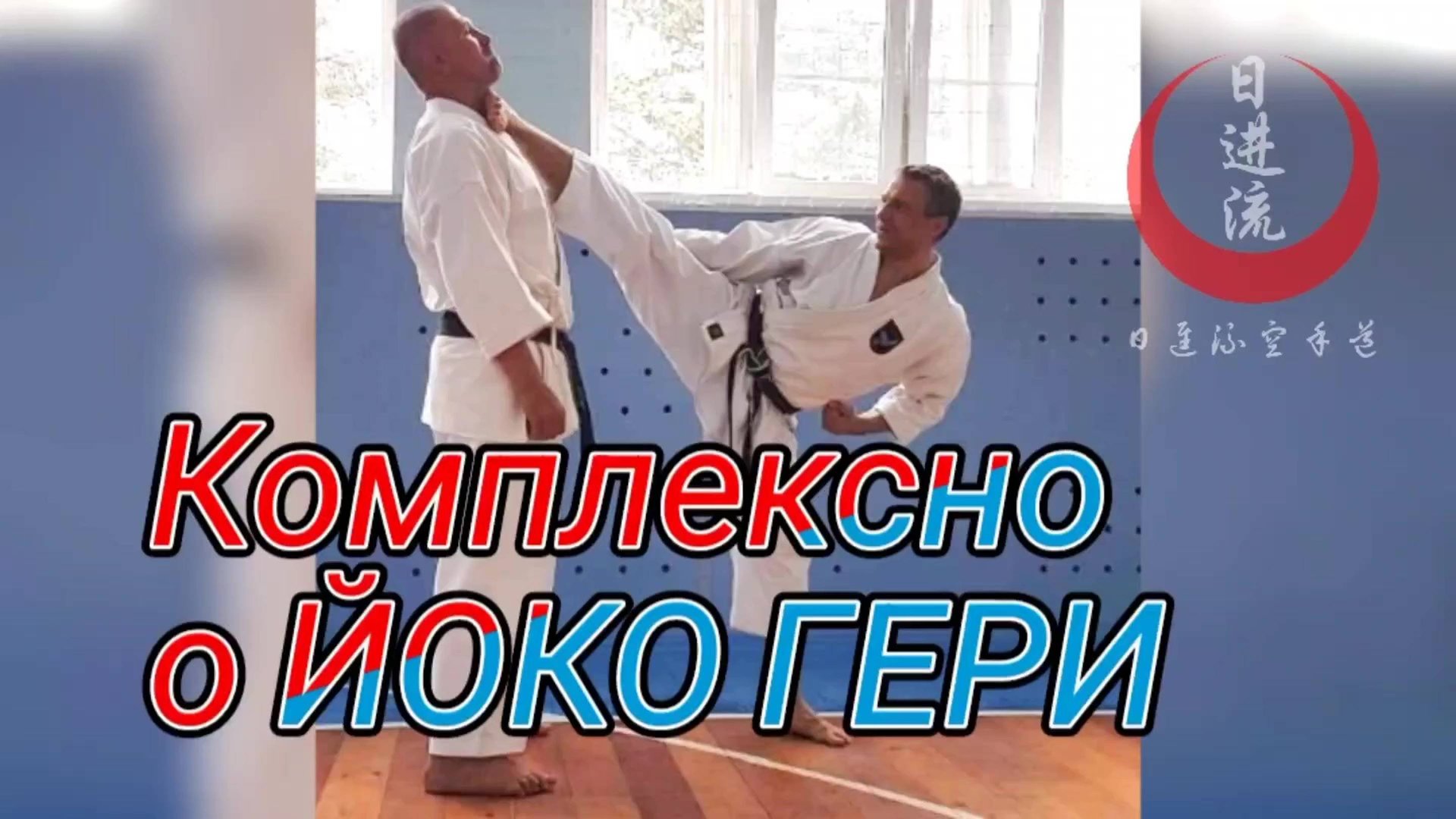 Авторская методика тренировки удара Йоко гери.