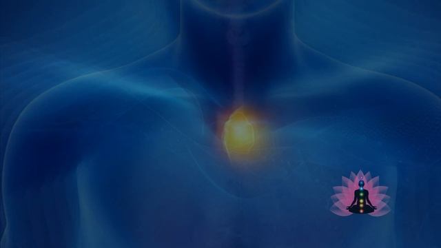 Волновой иммунитет- против вирусов Программа смотреть онлайн