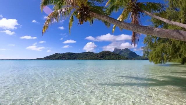 Бора-Бора смотреть онлайн