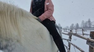 ВЕРХОВАЯ ЕЗДА БЕЗ АМУНИЦИИ  | лошадь работает от голосовых команд, на лошади без седла и уздечки |