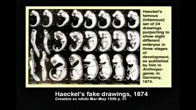 Supposed Lies in the Textbooks Ep11 смотреть онлайн