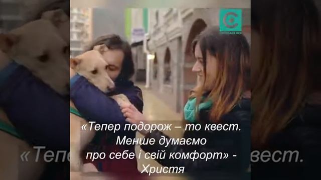 Собака - мандрувака смотреть онлайн