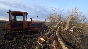 дт 75 выручает корчевание