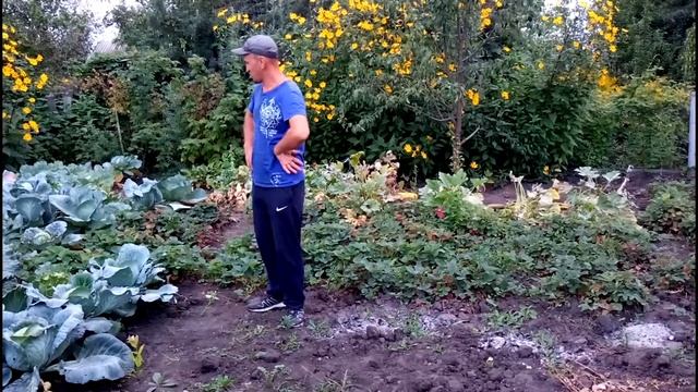 "Навозов.ру" отзыв Александра 30.08.16 смотреть онлайн