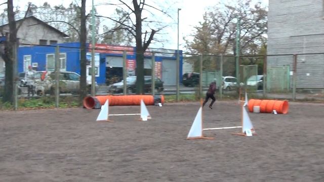 Ларина Татьяна шелти Порше - Д0 смотреть онлайн