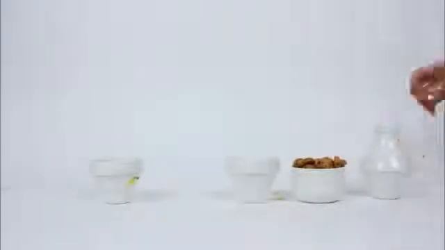 СЕРВИЗ ДЛЯ ЧАЕПИТИЯ WITHMILK (DOIY купить в ZEBRA ZOYA) смотреть онлайн