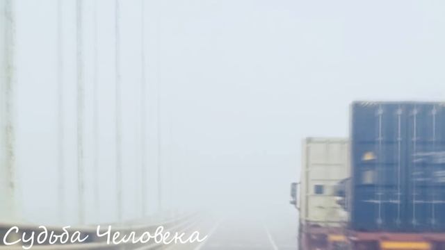 Дальнобойщик был в шоке, увидев на ледяной дороге подозрительный пакет, открыв его он увидел… смотреть онлайн