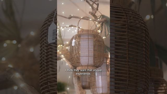 Terra earth + surf shop смотреть онлайн