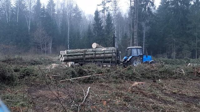 Мтз 892 с тележкой. Погрузка леса. Тяжелая елка. смотреть онлайн
