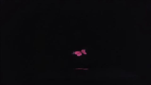 HOW TO MAKE A 180° Holographic Projector - EASY