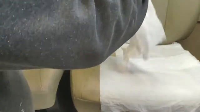Пом'якшуємо та Жируємо шкіру на прикладі шкіряного авто крісла смотреть онлайн