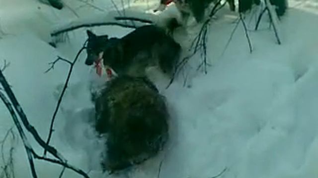 Видео010 смотреть онлайн