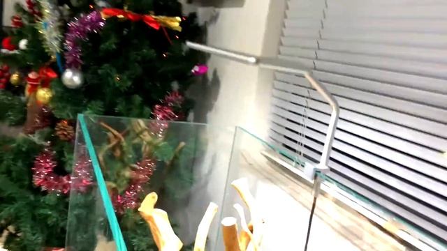 ✪ MicMol - G2 Aqua CC Unboxing & Installing. смотреть онлайн