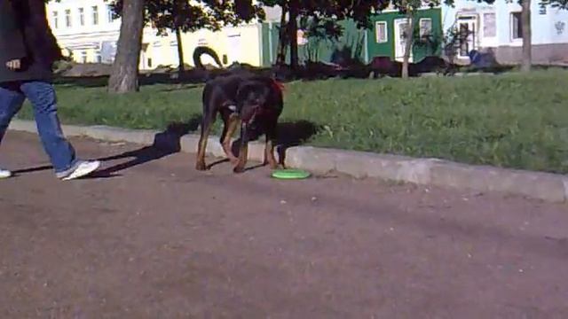 Оверим 5 ме. 15 дн. - 3 смотреть онлайн