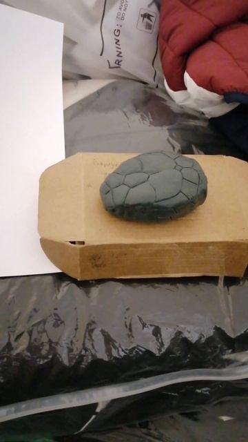 лепим змею из пластилина #plasticine #snake #sculpture #пластилин #reptile #wood_carving #clay смотреть онлайн