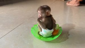 Mom putting smart  baby Avatar sits on basket when her busy looking lovely