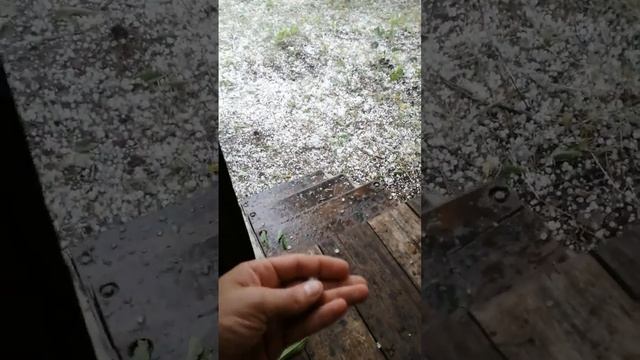 Почему цена растёт на мед.Июль. смотреть онлайн