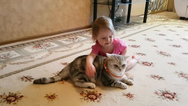 Аффтар жжот! Милота) смотреть онлайн