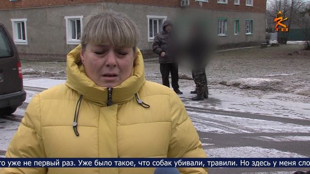 Новости Коломны на 22 января 2025 смотреть онлайн