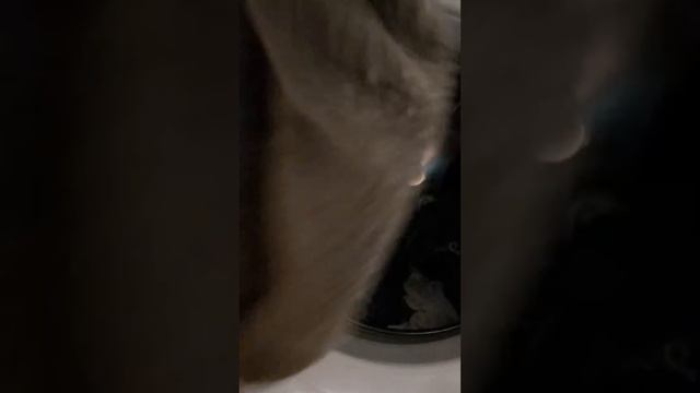 САЛФЕТКИ ДЛЯ БЕЗоПАСНОЙ СТИРКИ смотреть онлайн