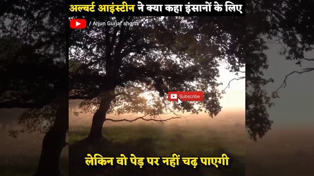 अल्बर्ट आइंस्टाइन ने क्या कहा इंसानों के बारे में। Albert Einstein। #motivationalspeech #shortvide смотреть онлайн