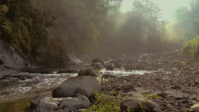 Motivation Arabian Ethnic Indian Freestyle Type Beat - Star G (Scratch) [prod. by Flint beatz] смотреть онлайн