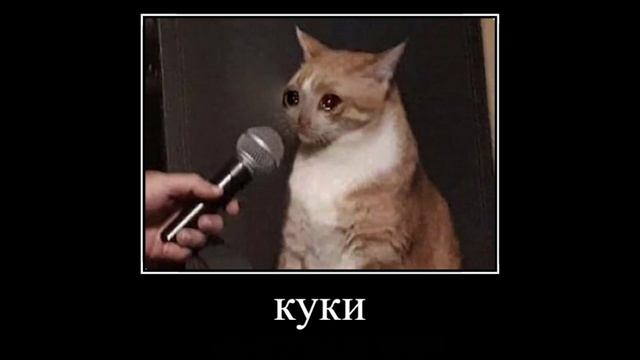 а кто здесь накакал? смотреть онлайн