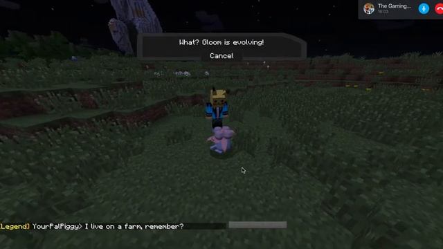 Pixelmon Multiplayer EP 4 - Mega Gyarados? смотреть онлайн