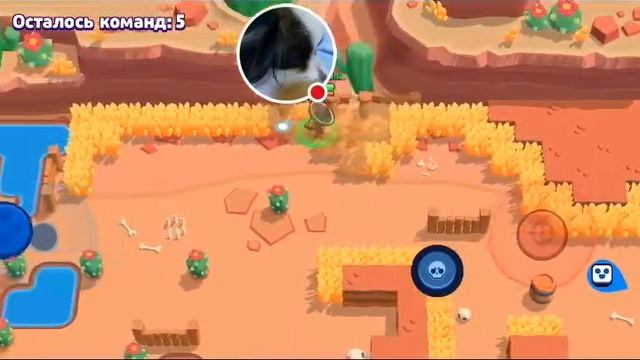 Стрим игры "Brawl Stars". смотреть онлайн