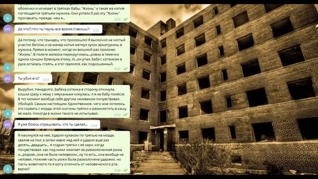 Спасение котёнка от нелюдей - жутко грустная переписка. Котёнок нашёл дом смотреть онлайн