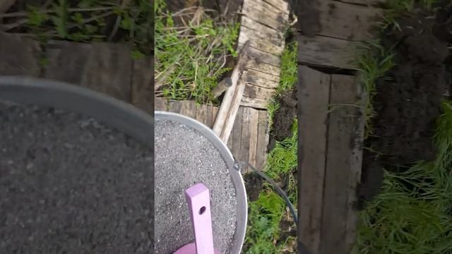 Посадка картофеля . смотреть онлайн