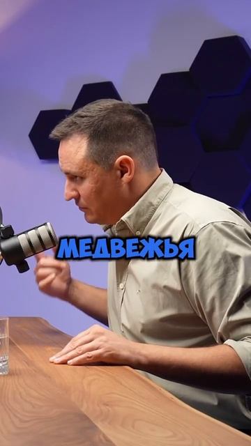 Структуры поддержки экспорта дают классные условия российским компаниям. Ценят ли это сами компании?