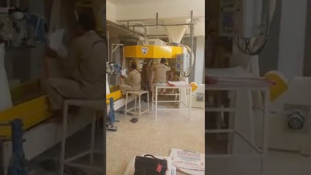 Карусельная упаковочная линия для муки смотреть онлайн