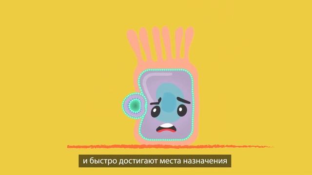 Липосомальные витамины SmartLife!